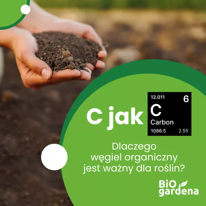 Węgiel organiczny - dlaczego jest ważny dla roślin