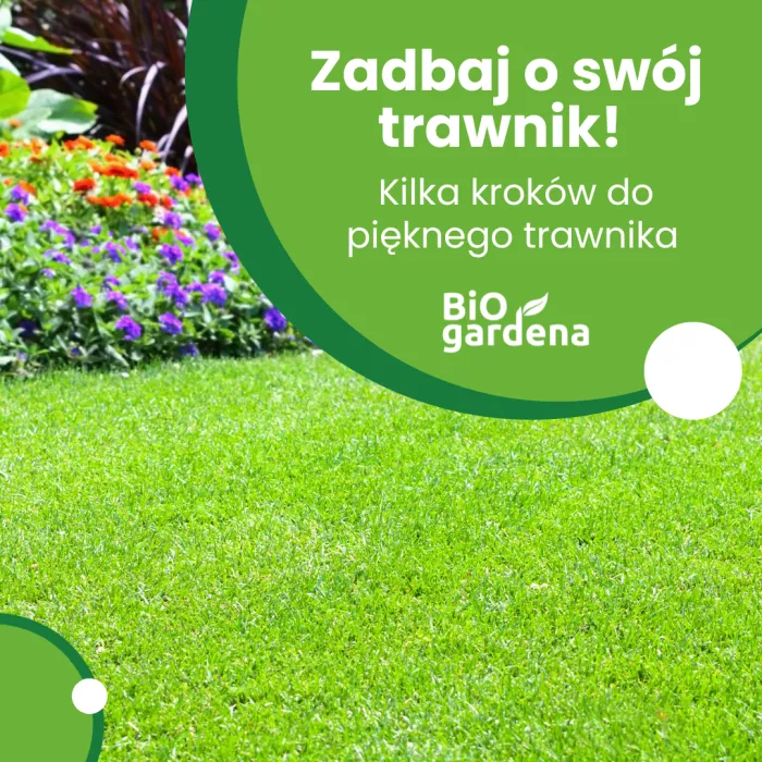 Zadbaj o trawnik - kilka kroków do pięknego trawnika