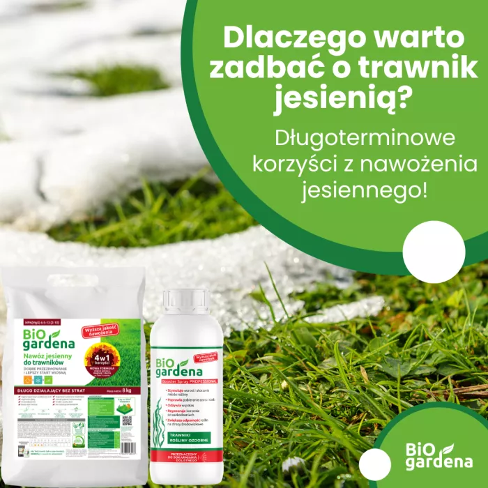 Dlaczego warto inwestować w trawnik jesienią? Długoterminowe korzyści z nawożenia organicznego